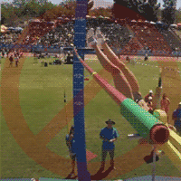 bad girls pole vault