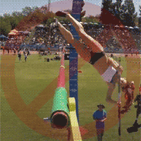 bad girls pole vault